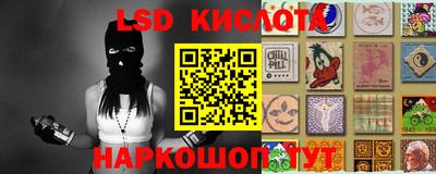 spice Кимры