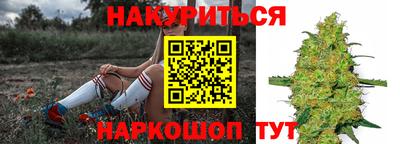 spice Кимры