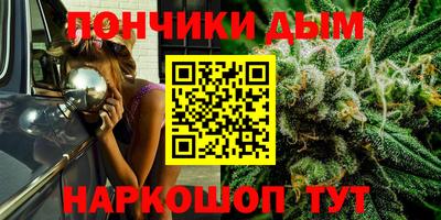 spice Кимры