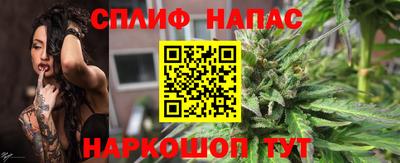 дурь Кингисепп