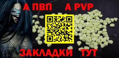 дурь Кингисепп