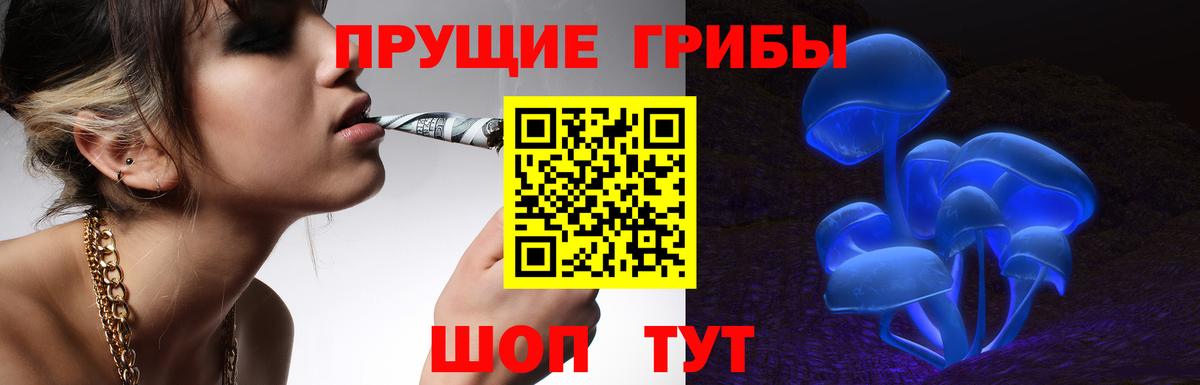 Псилоцибиновые грибы Psilocybe Ярославль